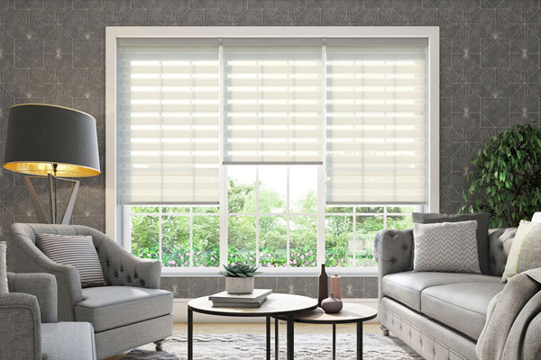 Duo Roller Blinds